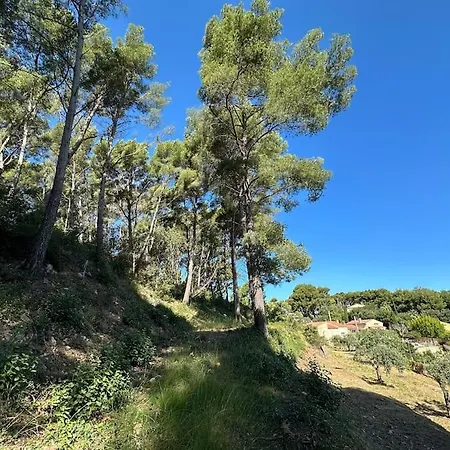 Ollioules, Au Coeur De La Pinede, Proche De La *